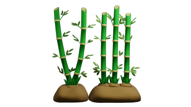 Bamboo Plant  3D Icon