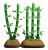 Bamboo Plant