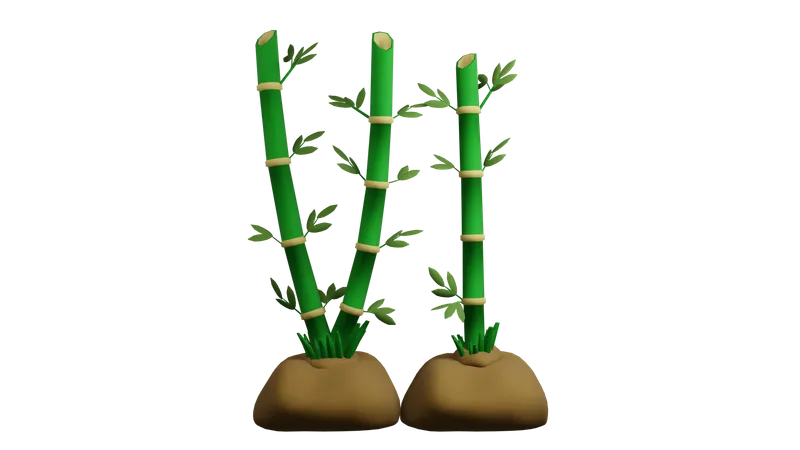 Bamboo Plant  3D Icon