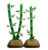 Bamboo Plant