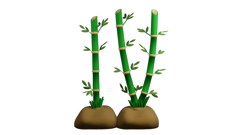 Bamboo Plant  3D Icon