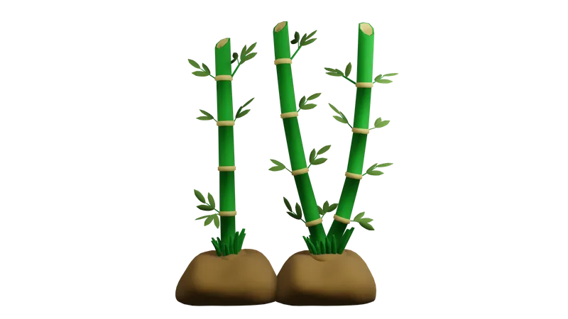 Bamboo Plant  3D Icon