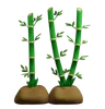 Bamboo Plant