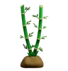 Bamboo Plant