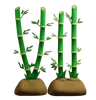 Bamboo Plant