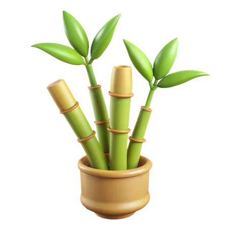 Bamboo Plant  3D Icon