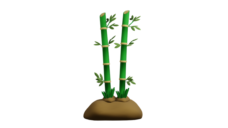 Plante de bambou  3D Icon