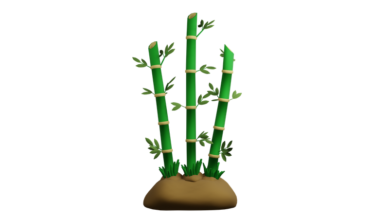 Plante de bambou  3D Icon