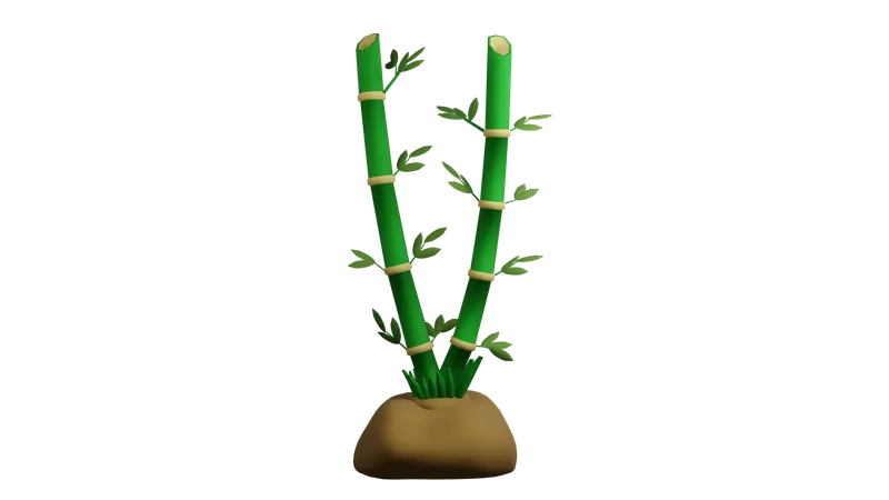 Plante de bambou  3D Icon