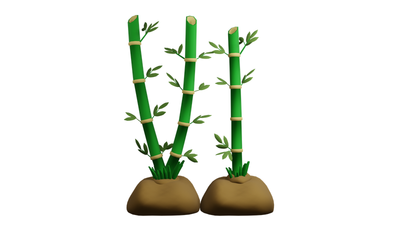 Plante de bambou  3D Icon