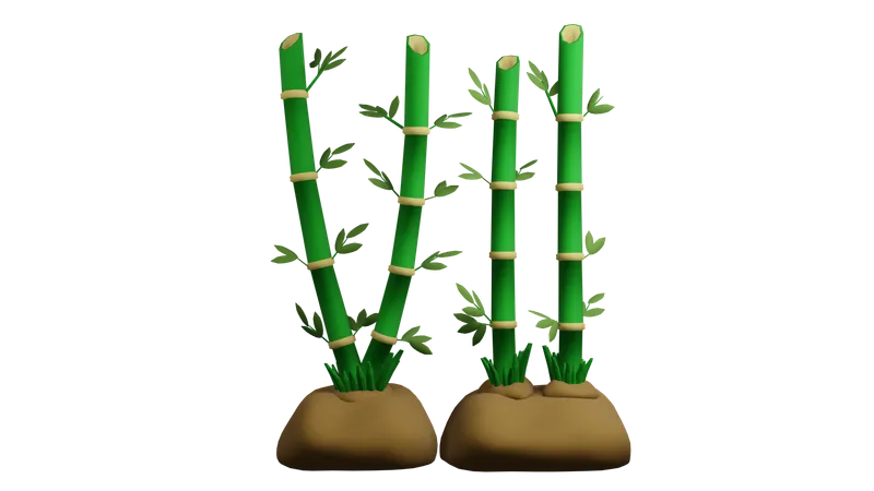 Plante de bambou  3D Icon