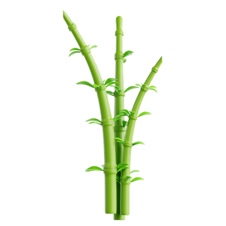 Bambu  3D Icon