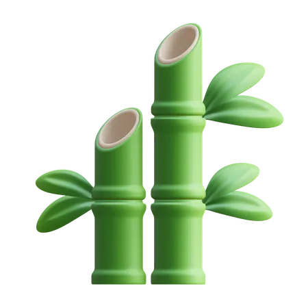 Bambu  3D Illustration