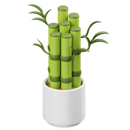 Bambú de la suerte  3D Icon