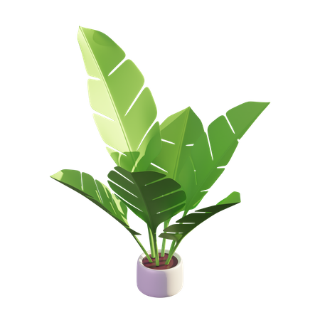 Banana Leaf 3D Illustration