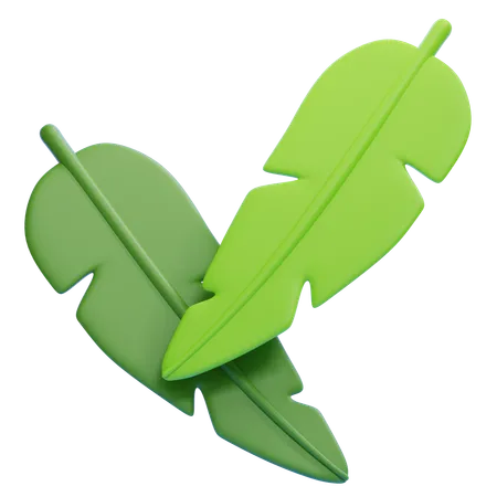 Banana Leaf  3D Icon