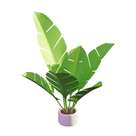 Banana Leaf  3D Illustration