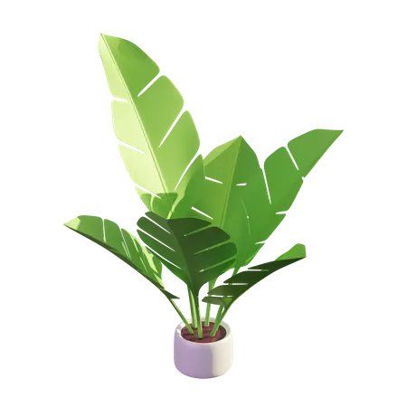 Banana Leaf  3D Illustration