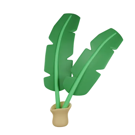 Banana Leaf 3D Illustration