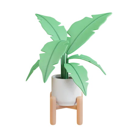 Banana Plant  3D Icon