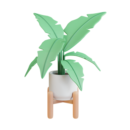 Banana Plant  3D Icon