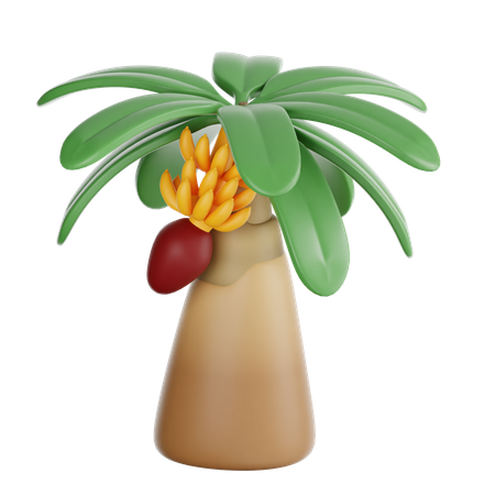 Banana Tree  3D Icon