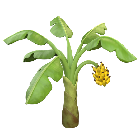 Banana Tree  3D Icon