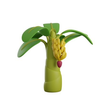 Banana Tree  3D Icon