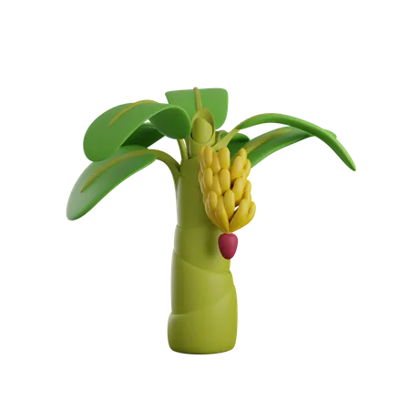 Banana Tree  3D Icon