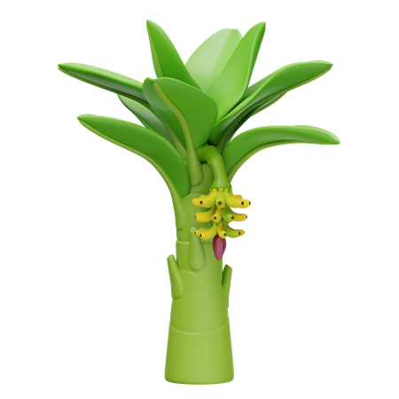 Banana Tree  3D Icon