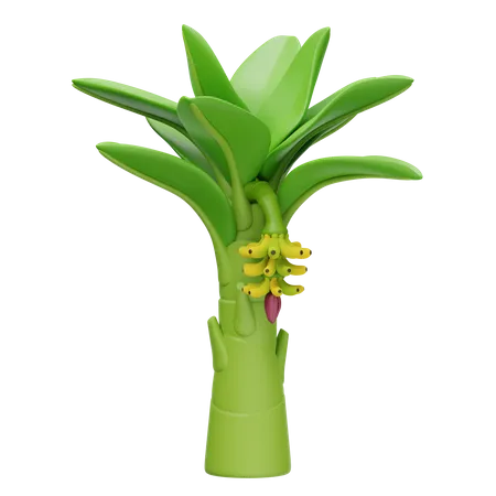 Banana Tree  3D Icon