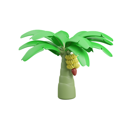 Banana Tree  3D Icon