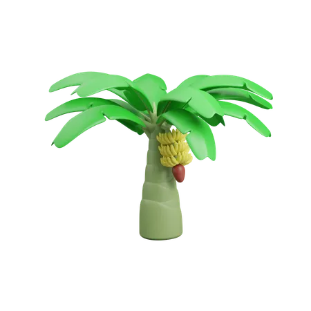 Banana Tree  3D Icon