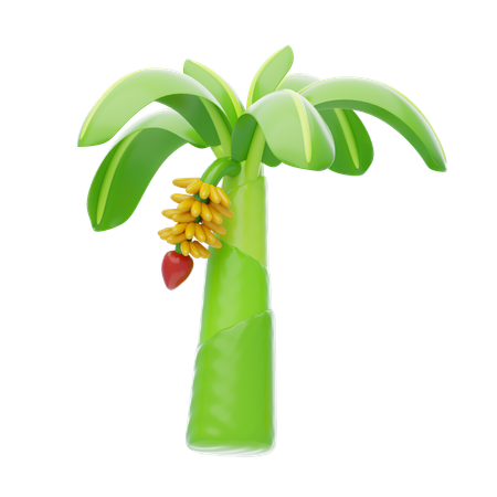 Banana Tree  3D Icon