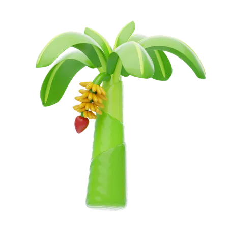 Banana Tree  3D Icon