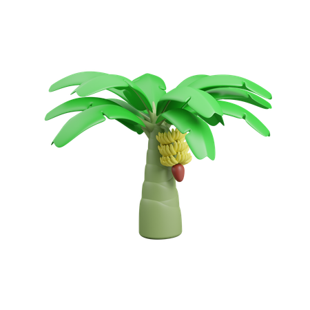 Banana Tree  3D Icon