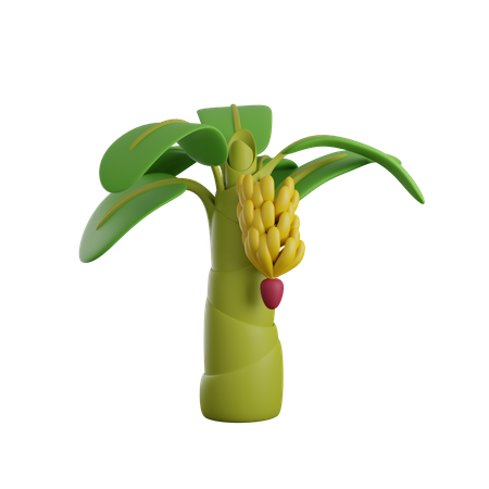 Banana Tree 3D Icon