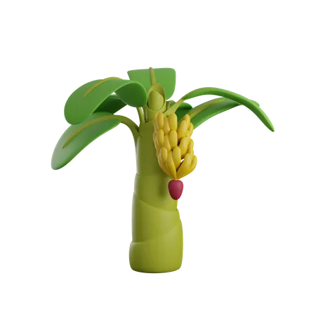 Banana Tree 3D Icon