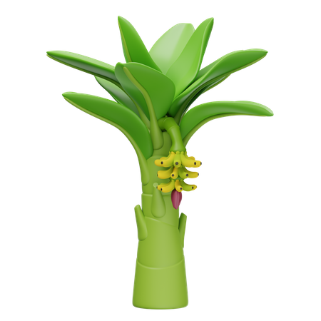 Bananeira  3D Icon