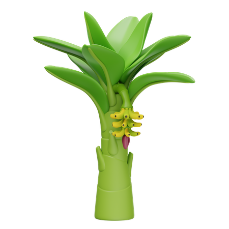Banano  3D Icon