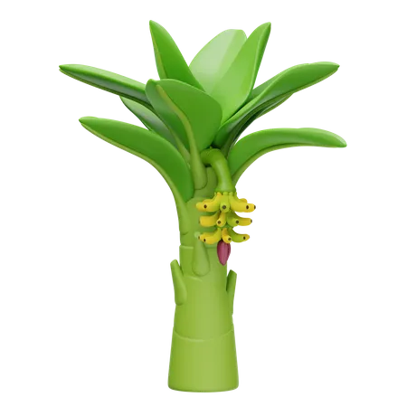 Banano  3D Icon