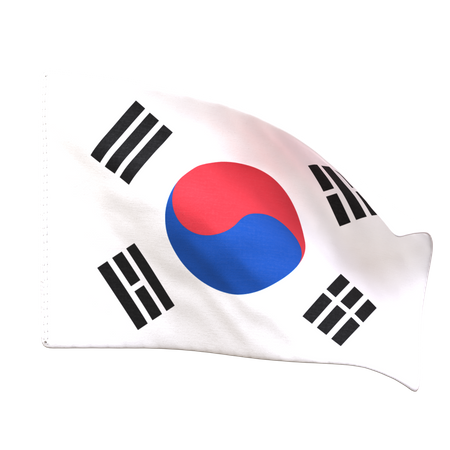 Bandeira da Coreia do Sul  3D Icon