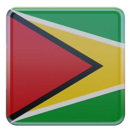 Bandeira da guiana  3D Flag