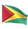 bandeira da guiana