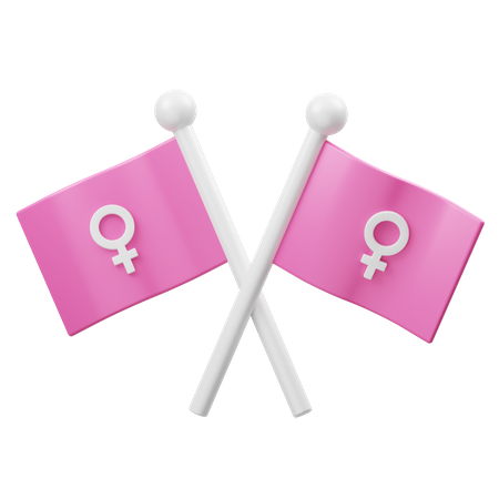 Bandeira da mulher  3D Icon