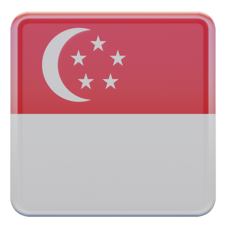 Bandera de la Plaza de Singapur  3D Icon