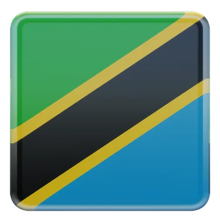 Bandera cuadrada de Tanzania  3D Icon
