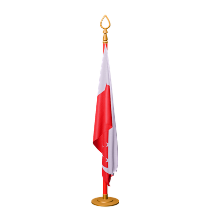 Bandera de singapur  3D Icon