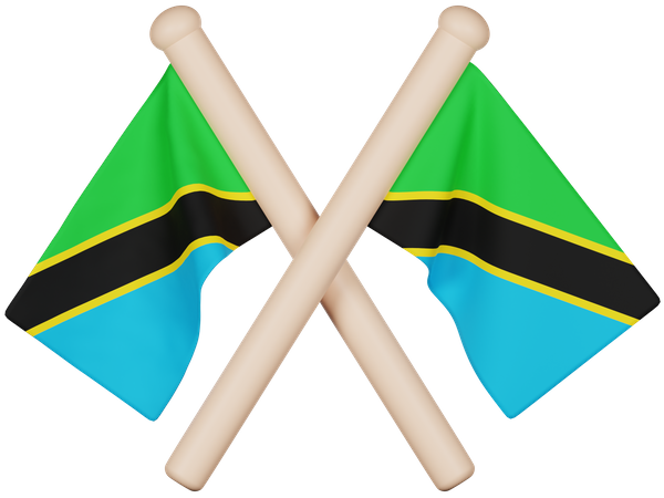 Bandera de tanzania  3D Icon