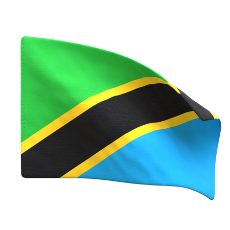 Bandera de tanzania  3D Icon